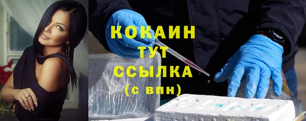 стаф Арсеньев