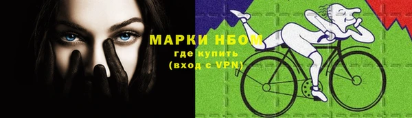 эйфоретик Аркадак