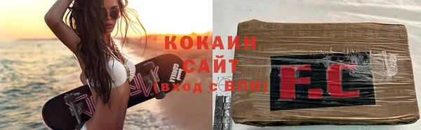 стаф Арсеньев