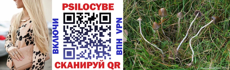 Псилоцибиновые грибы Psilocybe  где продают наркотики  Бакал 